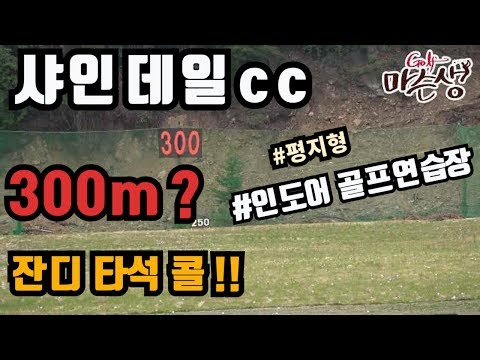 ㅣ내 맘대로 리뷰 EP10ㅣ 300m 평지형 인도어 골프연습장 잔디타석? OK