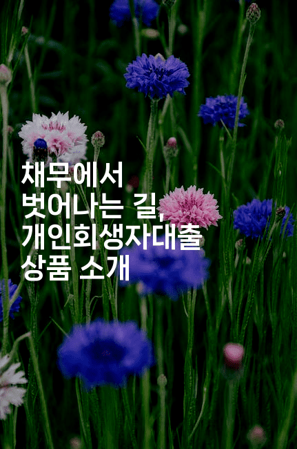 채무에서 벗어나는 길, 개인회생자대출 상품 소개-인도라이