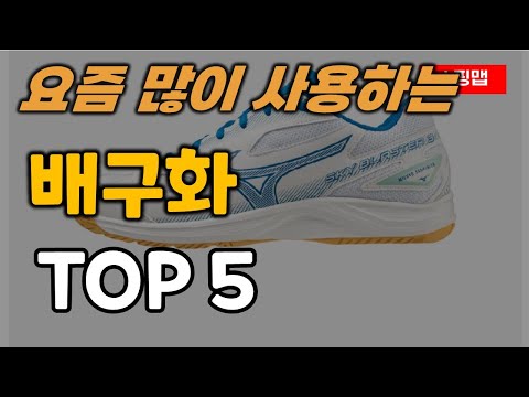 배구화 순위 추천 TOP5ㅣ인도어화