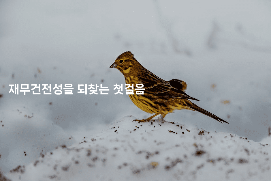 재무건전성을 되찾는 첫걸음-인도라이