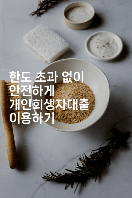 한도 초과 없이 안전하게 개인회생자대출 이용하기-인도라이